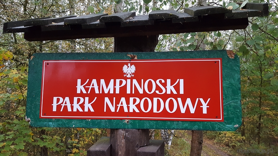 Kampinoski Park narodowy