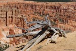  Bryce Canyon NP <span class="eja-timestamp">27.06.2018 12:01</span>