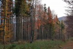 <span class="eja-wp-km" style="background-color: #dd3333;">13.8 km</span> <span class="eja-timestamp">18.10.2018 17:24</span>