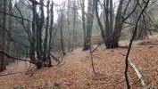 <span class="eja-wp-km" style="background-color: #1e73be;">12.5 km</span> <span class="eja-timestamp">19.10.2018 12:08</span>
