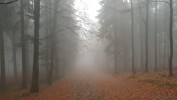 <span class="eja-wp-km" style="background-color: #66b237;">1.0 km</span> Mgliście <span class="eja-timestamp">21.10.2018 10:01</span>