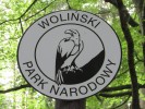 Symbolem Wolińskiego Parku Narodowego jest bielik.