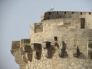 Torre del Marenyet