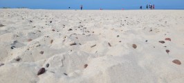 Plaża częściowo kamienista
