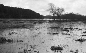 <span class="eja-frame eja-film-bw"><span class="dashicons dashicons-editor-video"></span>5
</span> Zalana plaża w Serpelicach <span class="eja-timestamp">3.04.2021</span>