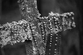 <span class="eja-frame eja-film-bw"><span class="dashicons dashicons-editor-video"></span>22
</span> Swieta Góra Grabarka <span class="eja-timestamp">5.04.2021</span>