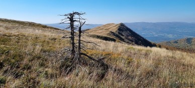 Hnatowe Berdo (1187 m) widziane z czerwonego szlaku <span class="eja-timestamp">09.10.2021 12:07</span>