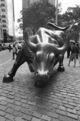 NYC-Charging-Bull